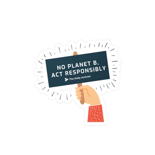 No Planet B. Act Responsibly Kiss-Cut Vinyl Decals